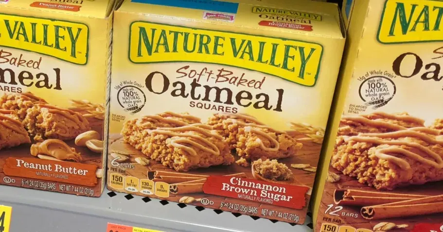 Nature Valley Oatmeal Squares 6-Count