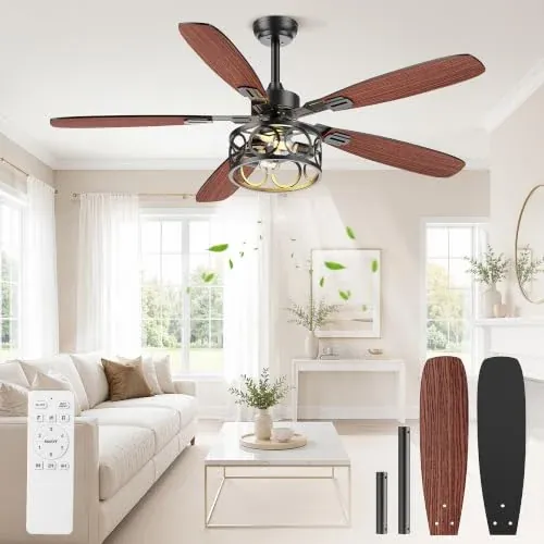 BLNAN 52 Inch Ceiling Fan with Lights and Remote