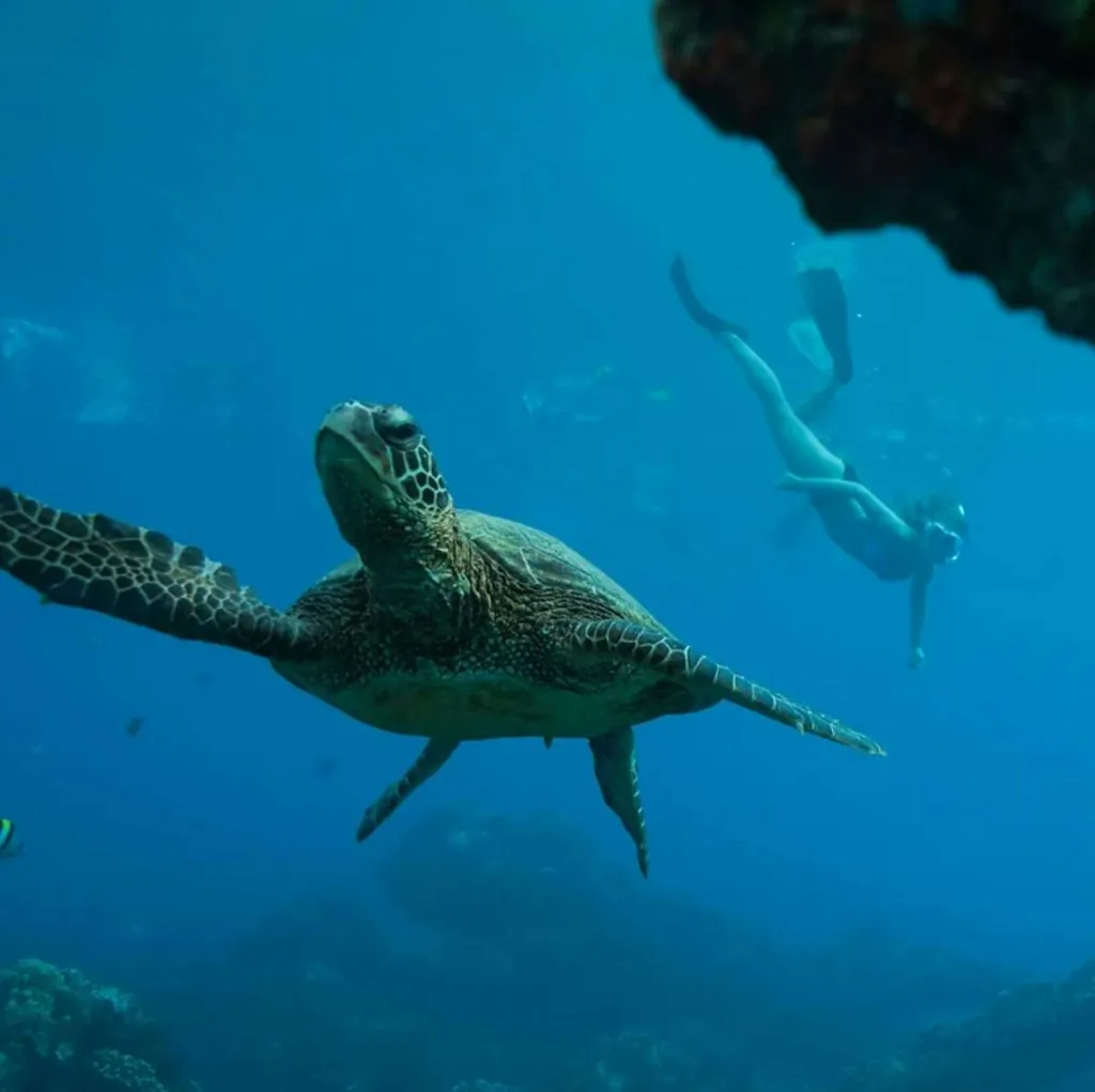 UnCruise Adventures 7-Night Hawaiian Seascapes Cruise for From $17,400 for 2