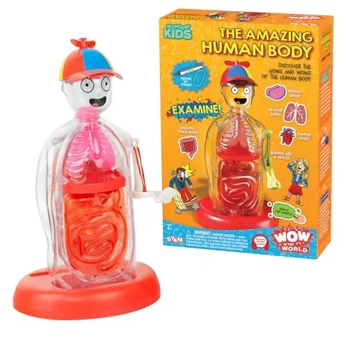 Wow in the World: The Amazing Human Body Biology Set
