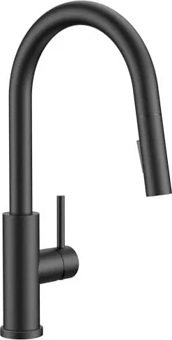 Forious Single-Handle Kitchen Faucet with Pull-Down Sprayer