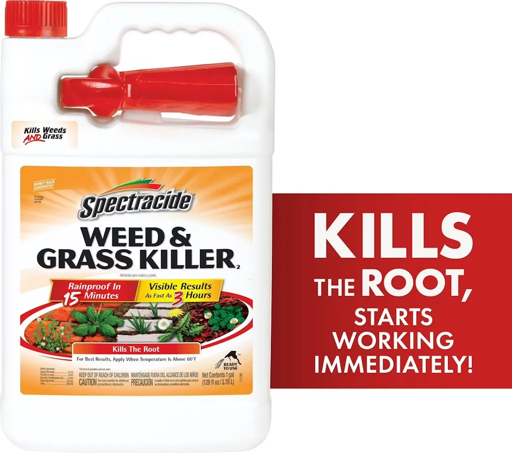 Spectracide 1 Gal. Weed & Grass Killer