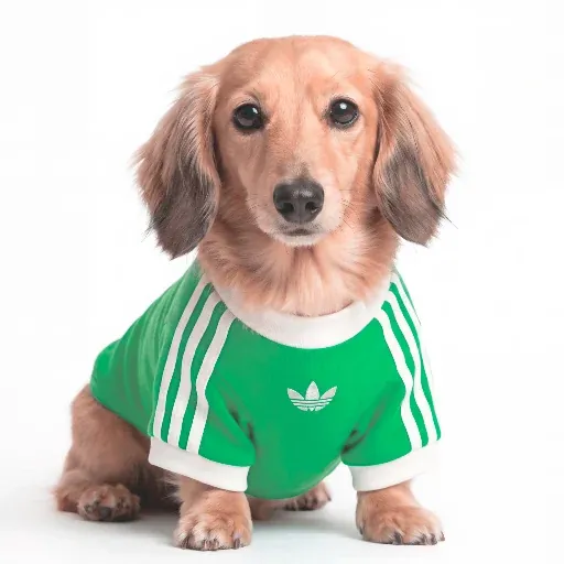 Adidas Pet Cali Tee