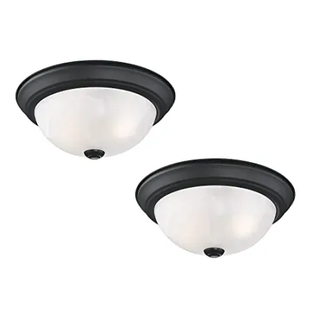 2-Pack Design House 2-Light Indoor Dimmable Ceiling Light