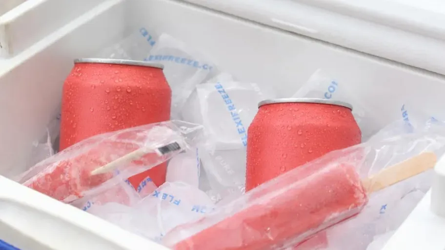 Reusable Cooler Cubes Bag 5lb