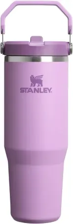 30oz STANLEY IceFlow 2.0 Flip Straw Tumbler
