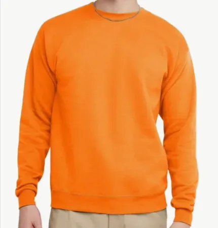 Hanes Men's EcoSmart Fleece Pullover Crewneck Sweatshirt