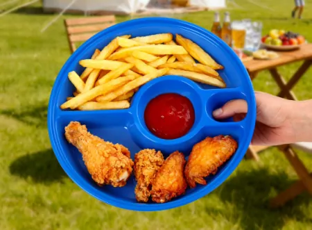 Ozark Trail Blue 10" Picnic Tray & Camping Plate