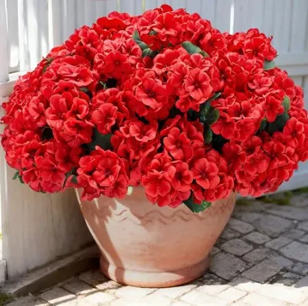 6-Pack Karlliu Artificial Geranium Flowers