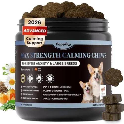 Advanced Calming Chews for Dogs
