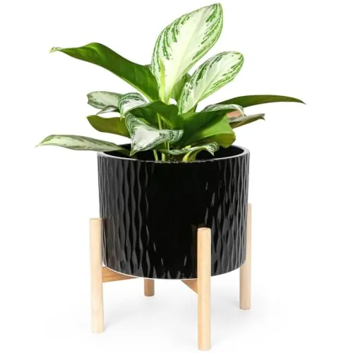 LaDoVita 10" Ceramic Plant Pot w/ Wood Stand