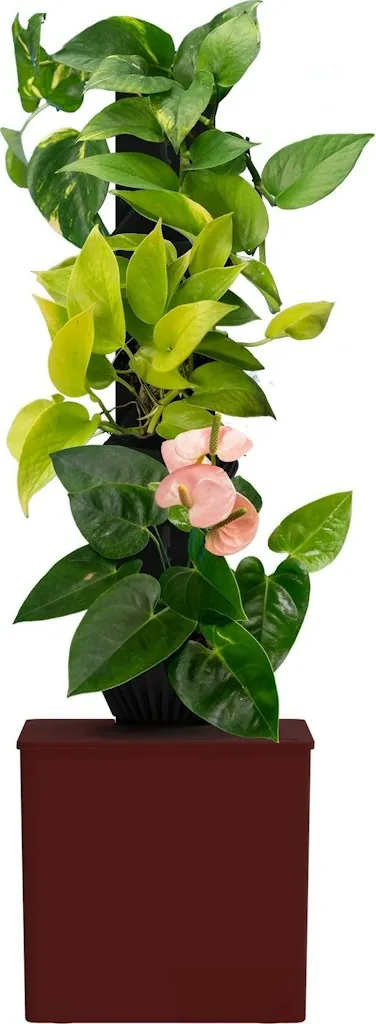 Tevatower Mini Smart Self-Watering Indoor Garden System