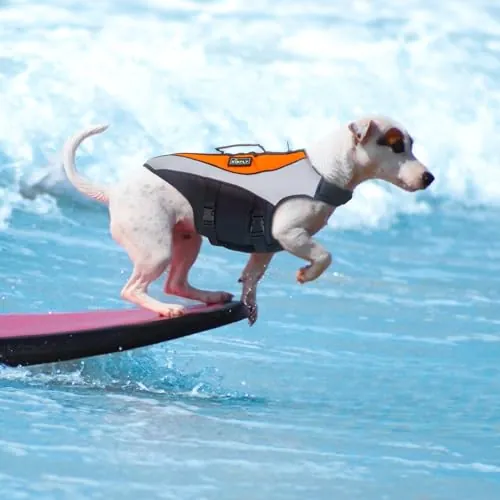 KISFLY Dog Life Jacket w/ Rescue Handle