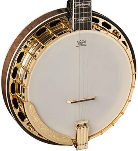 Washburn Americana Series B17K-D 5-String Banjo Sunburst Open Box
