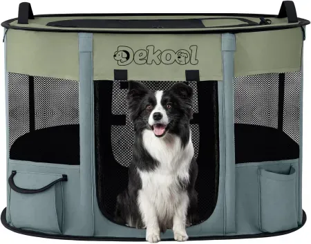 Dekool Foldable Dog & Cat Playpen w/ Carrying Case
