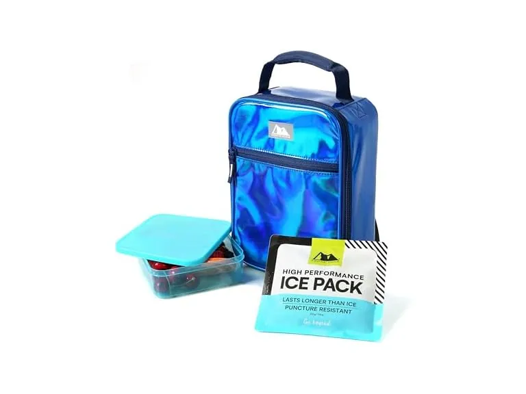 Arctic Zone Chrome Insulated Lunch Box with 210g Ice Pack & Sandwich Container