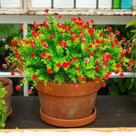 Set-of-12 Nearly Natural 13" UV Resistant Artificial Flowering Mini Rose Bush