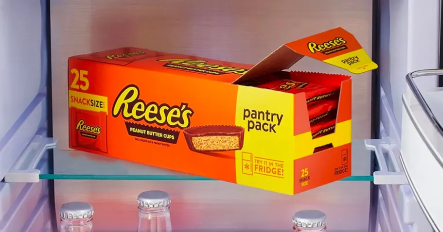 Reese’s Snack Size Peanut Butter Cups 25-Count