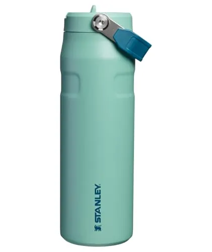 Stanley 1913 IceFlow Flip Straw 2.0 24oz Water Bottle