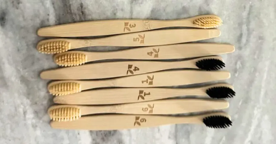 Bamboo Toothbrush 12-Pack in Charcoal & Wood Soft Bristle