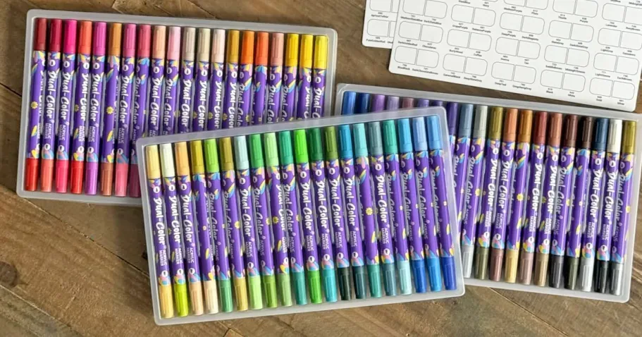 Dual-Tip Acrylic Paint Markers 60-Count
