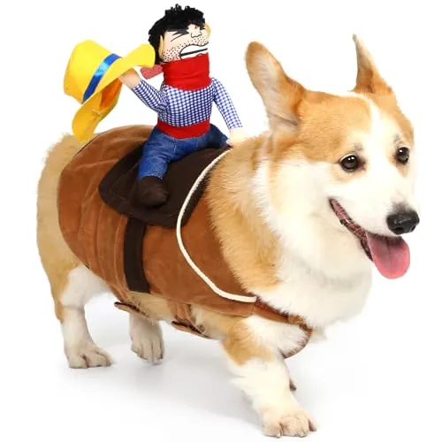 Cowboy Rider Dog Costume