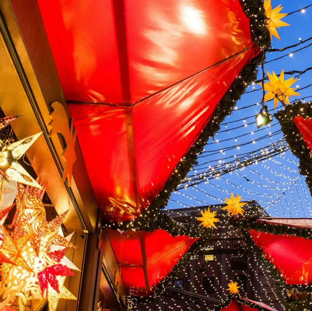 Scenic 7-Night Rhine Christmas Markets River Cruise for From $10,876 for 2