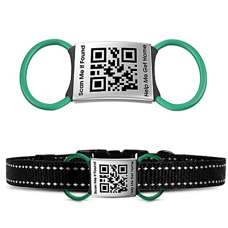TechMark Slide-on QR Code Dog Tag for 1" Collars