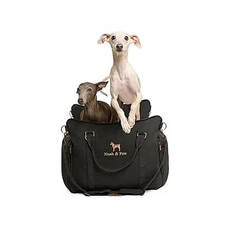 NOAH & PAW Dog Car Seat Carrier w/ Harness Clip (Small to Medium Pets)