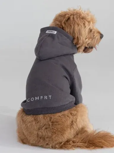 Comfrt Tranquil Paw Hoodie