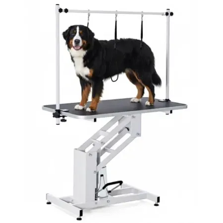 Garvee 43" Hydraulic Pet Grooming Table