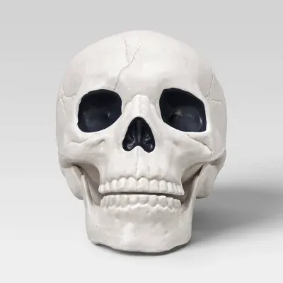 6" Medium Skull Halloween Decorative Prop in Light Off-White