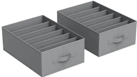SONGMICS Set of 2 Large 6-Compartment Wardrobe Clothes Organizers