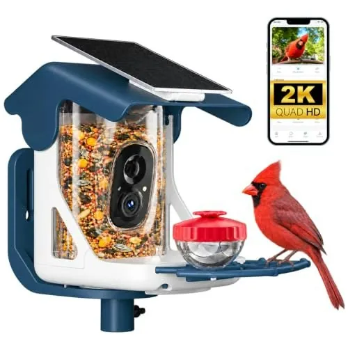 KTC 2K Solar-Powered Smart Bird Feeder with Camera