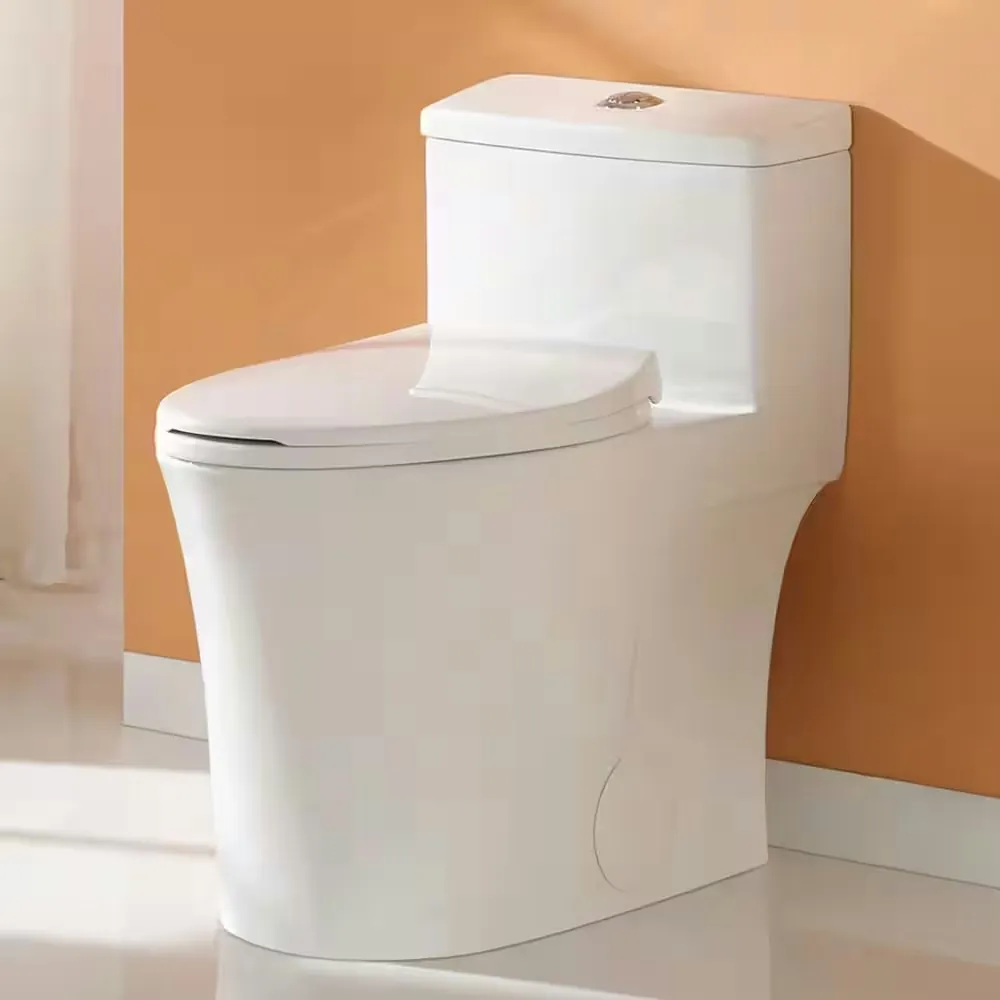 Horow 1-Piece Dual Flush Elongated Toilet