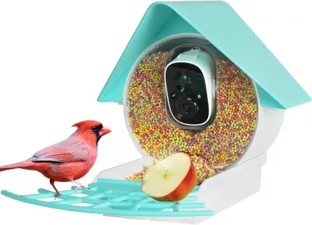 Birdkiss Smart Bird Feeder w/ 32GB Card, FHD Camera & 3W Solar Panel