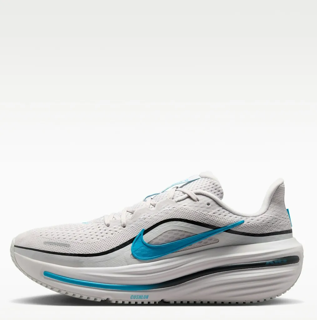 Nike Men's Winflo 12 Shoes