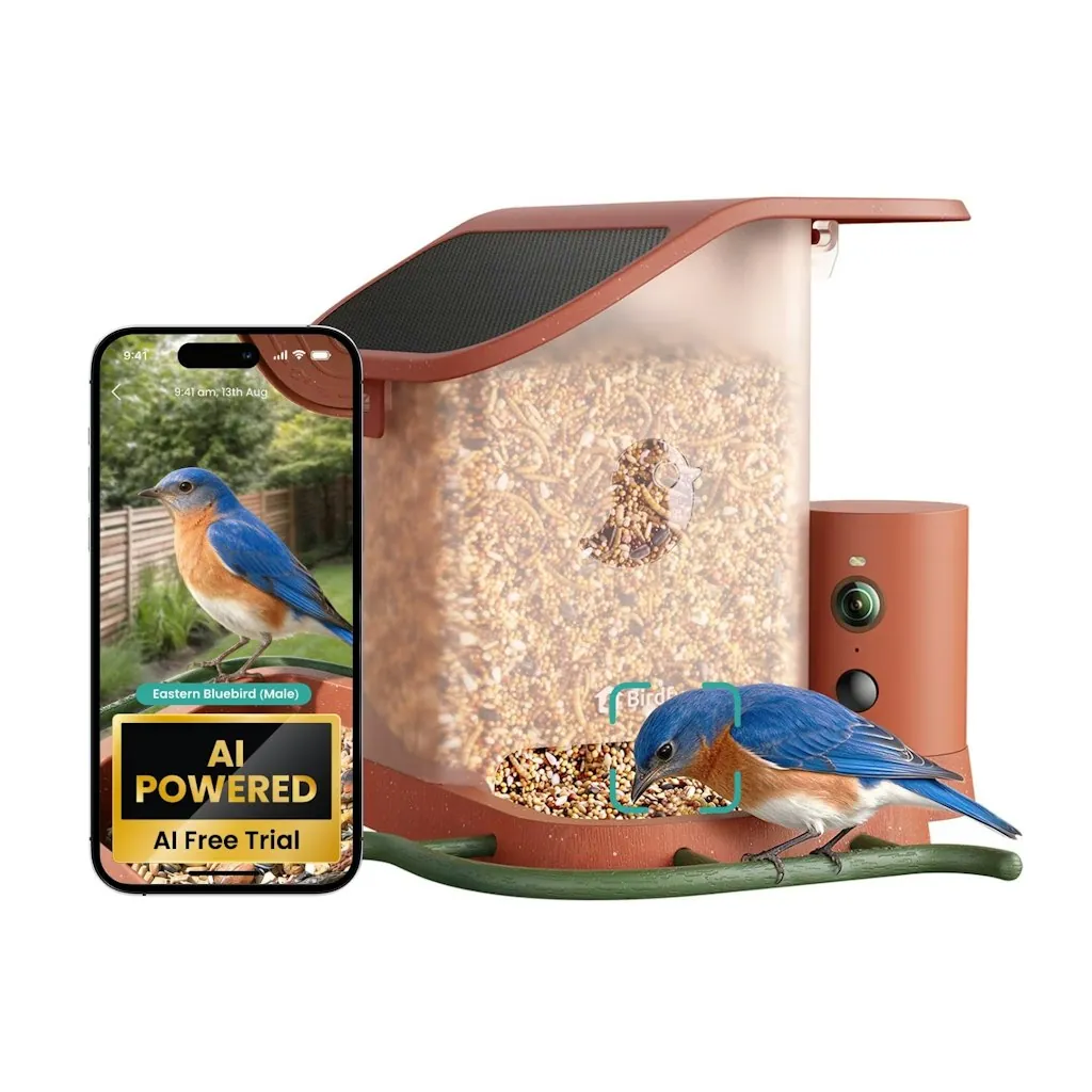 Birdfy Terra Solar Smart Bird Feeder with Camera