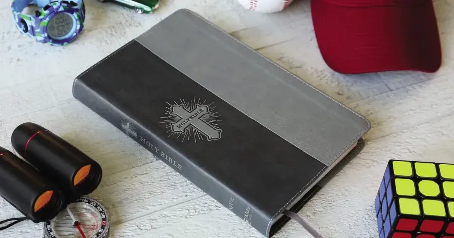 NIV Bible for Kids