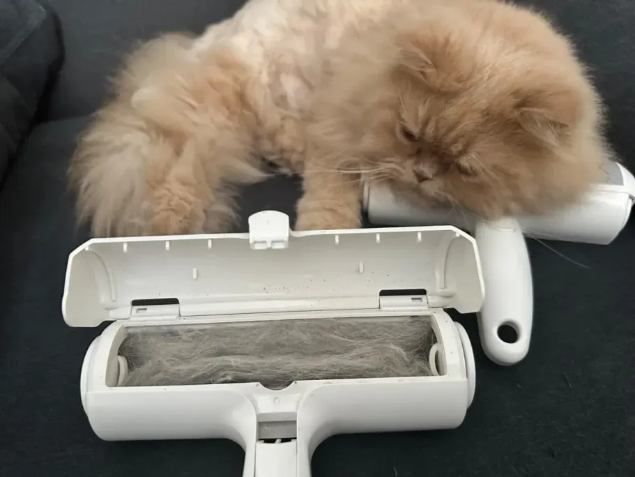 ORDORA Pet Hair Remover Roller