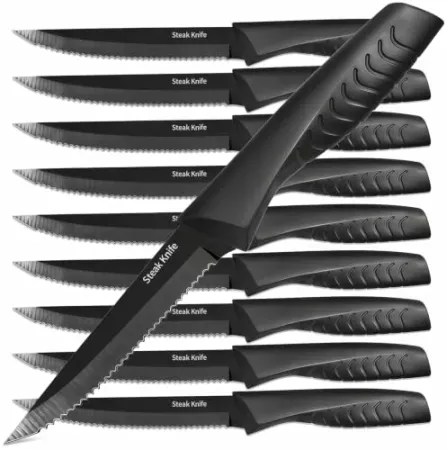 10-Pack FXXNNN Steak Knives Set