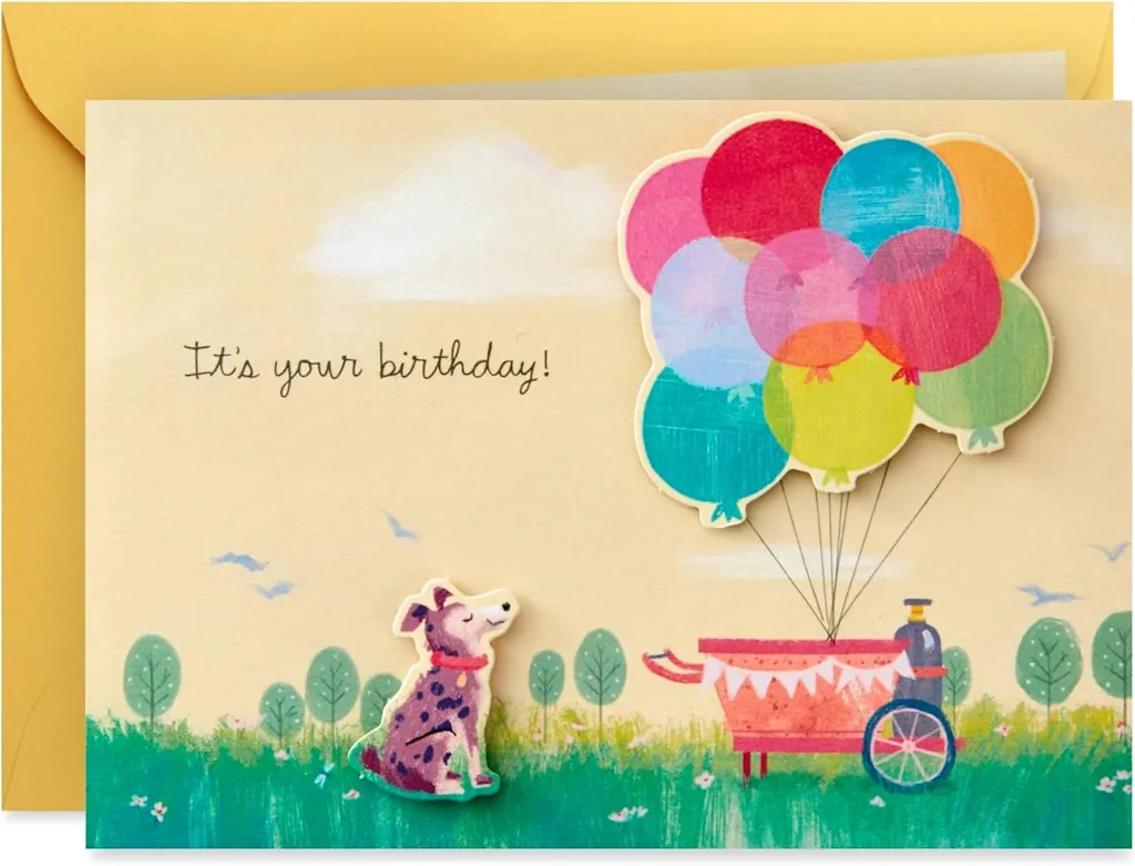 Hallmark Paper Wonder Pop Up Birthday Card