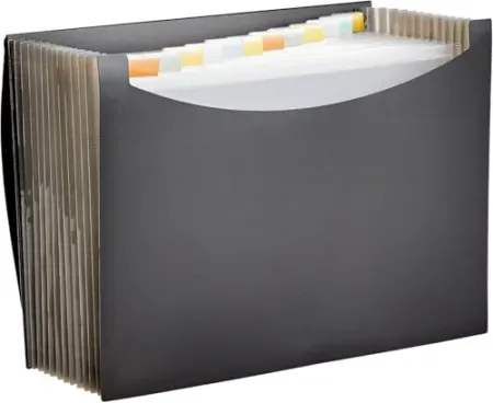 Amazon Basics Expanding Organizer File Folder