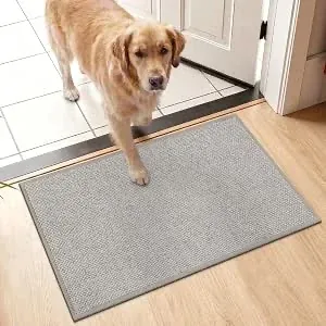 Non Slip Indoor Door Mat