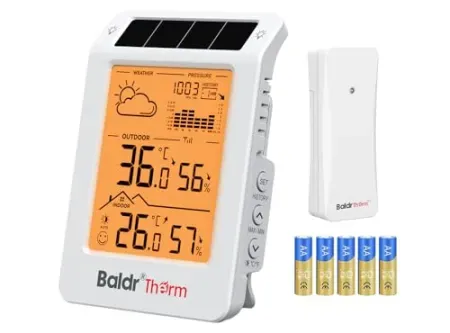 BaldrTherm Wireless Weather Station w/ One Sensor