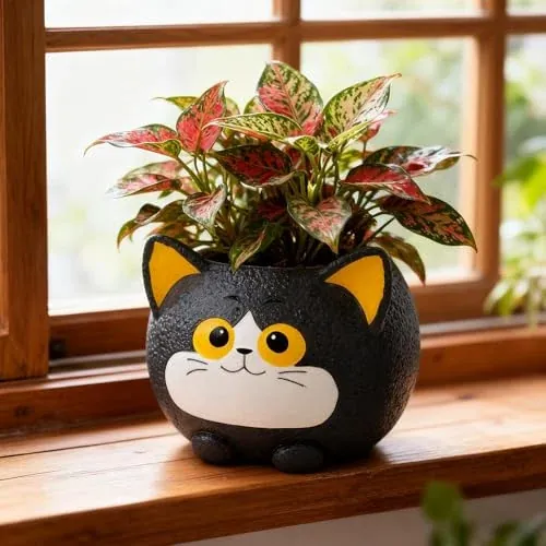 Black Cat Planter