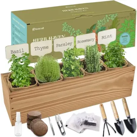 LYKOCLEAN Indoor 5-Herb Seed Starter Planter