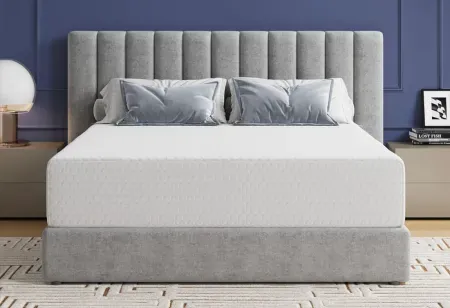 Avenco Queen 12" Memory Foam Mattress