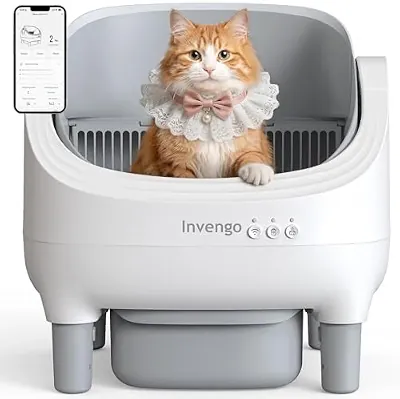 Automatic Litter Box