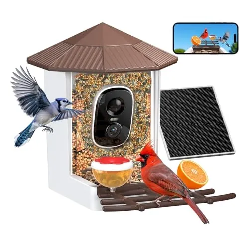 WansView 2K Solar-Powered Smart Bird Feeder Camera
